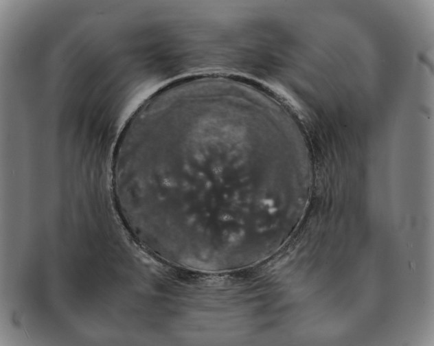 X0000091241279200708301530