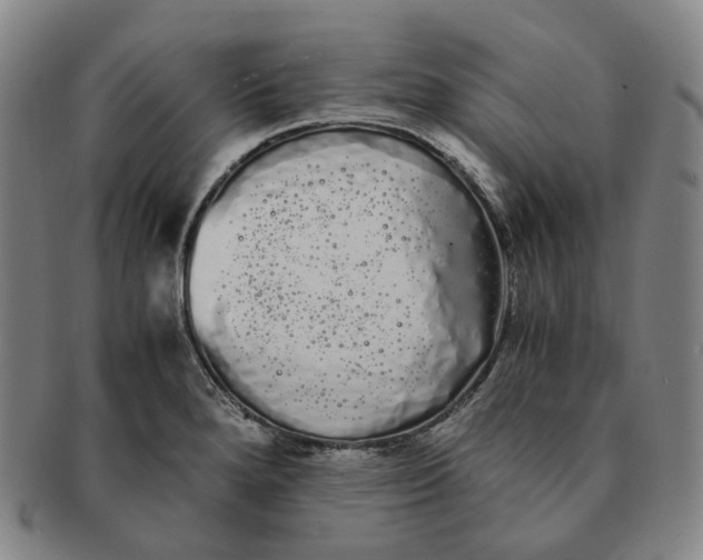 X0000091241280200708301530