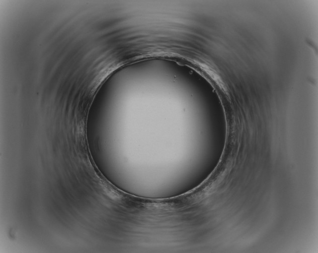 X0000091241281200708301530