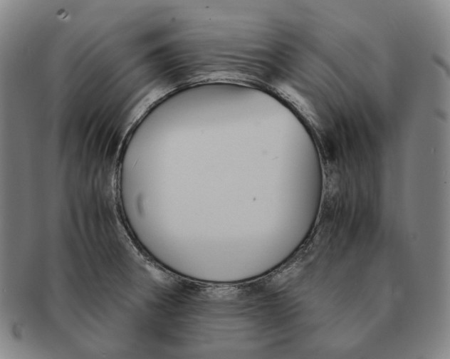 X0000091241282200708301530