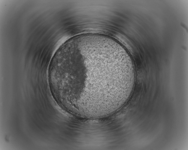 X0000091241283200708301530