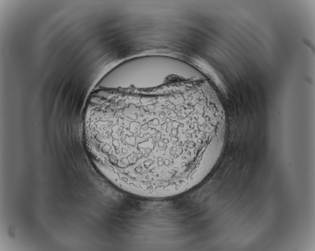 X0000091241284200708301530