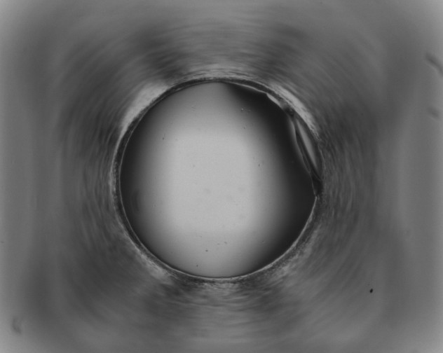 X0000091241285200708301530