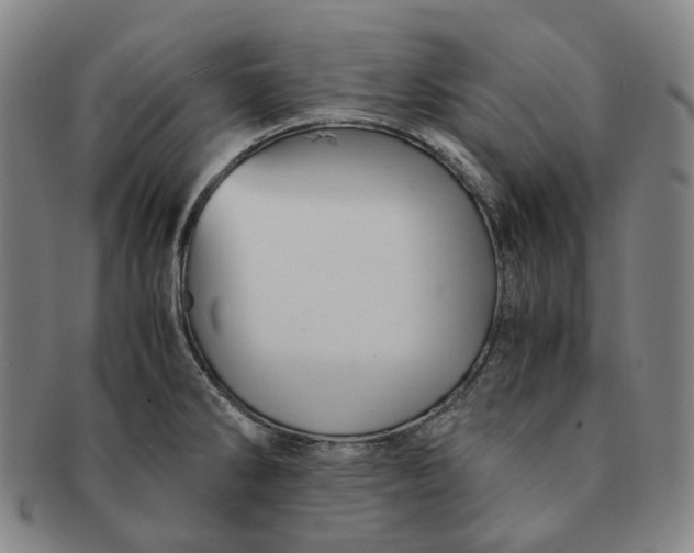 X0000091241286200708301530