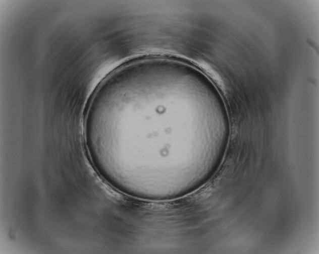 X0000091241287200708301530