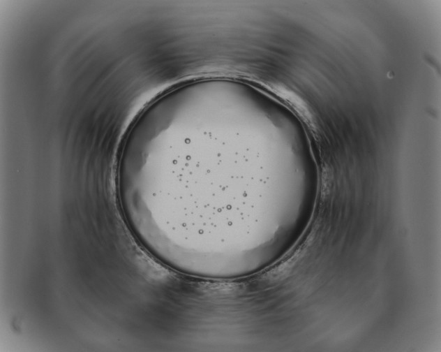 X0000091241288200708301530