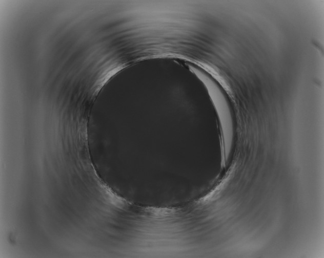 X0000091241289200708301530