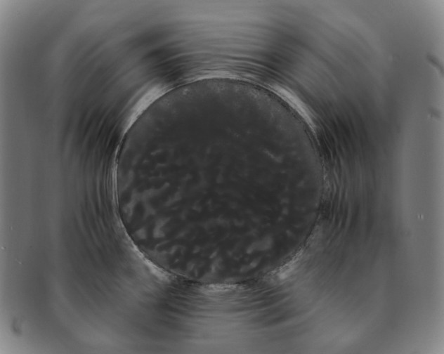 X0000091241290200708301530