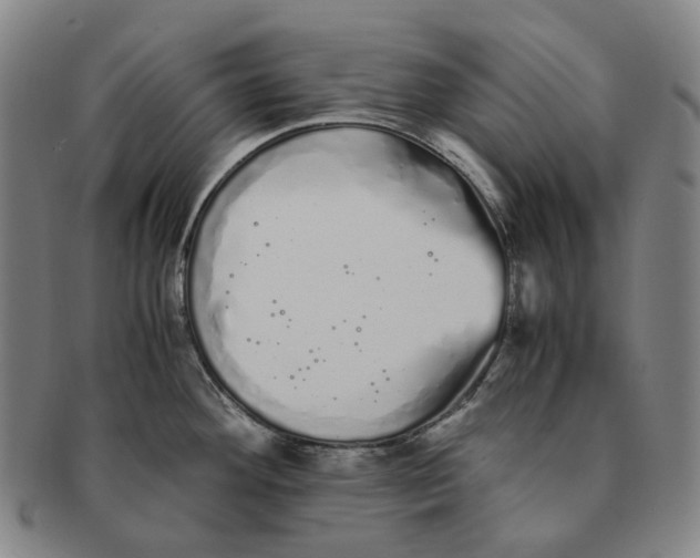 X0000091241292200708301530