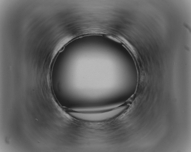 X0000091241293200708301530