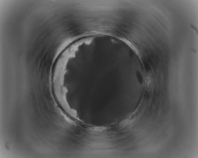 X0000091241294200708301530