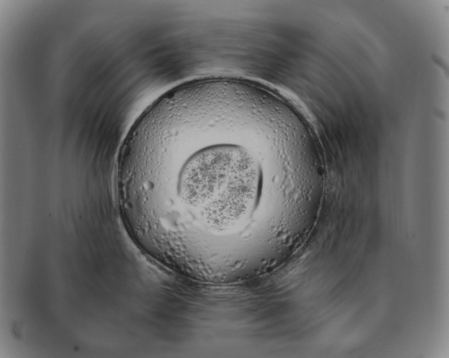 X0000091241295200708301530