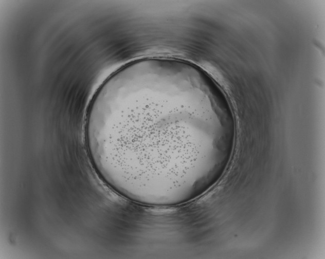 X0000091241296200708301530