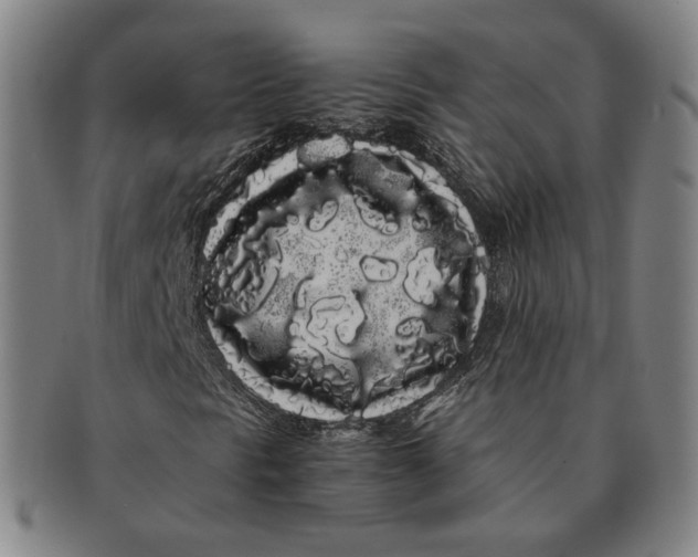 X0000091241297200708301529