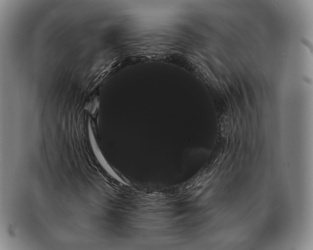 X0000091241298200708301529