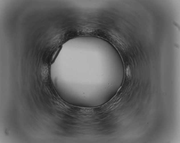 X0000091241299200708301529