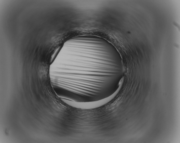 X0000091241300200708301529