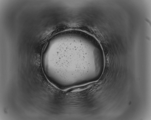 X0000091241301200708301529