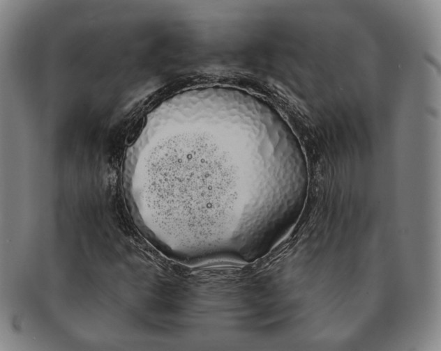 X0000091241302200708301529