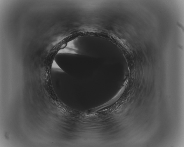 X0000091241303200708301529