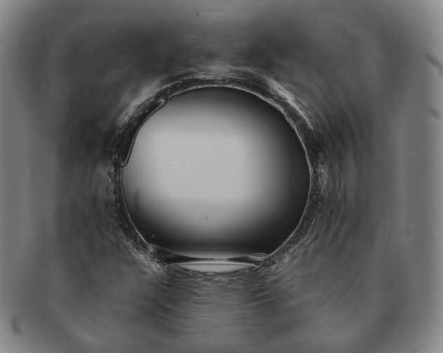 X0000091241304200708301529