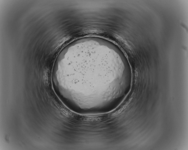 X0000091241305200708301529