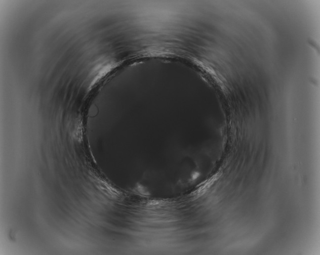 X0000091241306200708301529