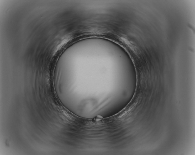 X0000091241307200708301529