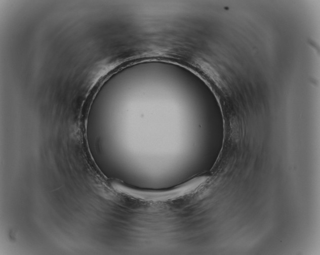 X0000091241308200708301529