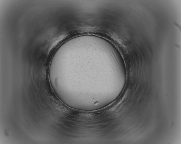 X0000091241309200708301529