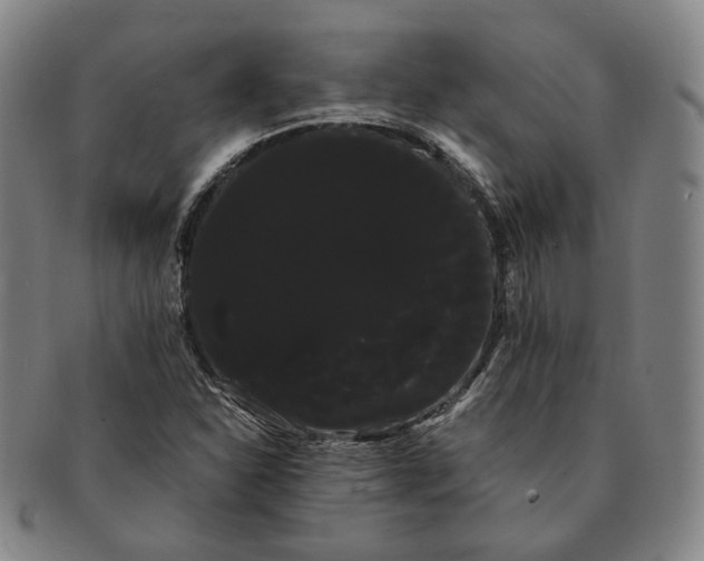 X0000091241310200708301529