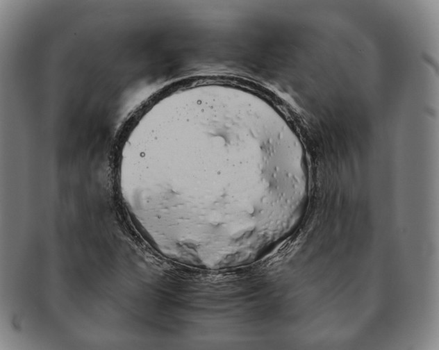 X0000091241311200708301529