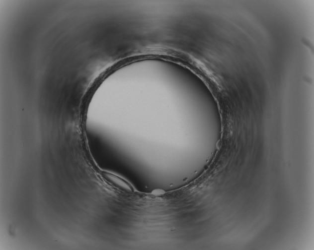 X0000091241312200708301529