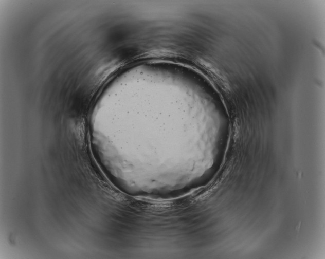 X0000091241313200708301529