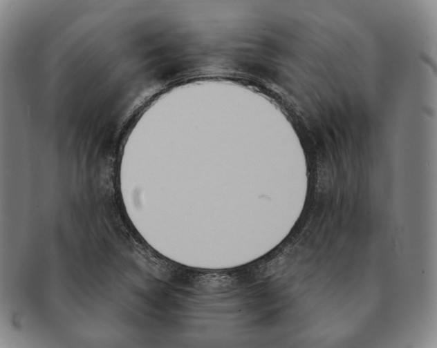 X0000091241314200708301529