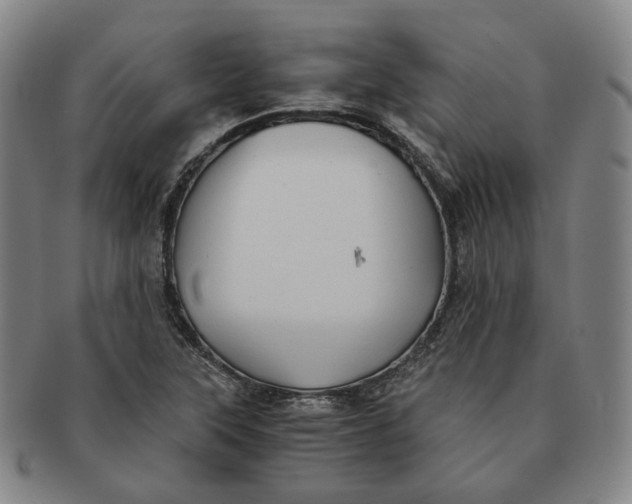 X0000091241315200708301529