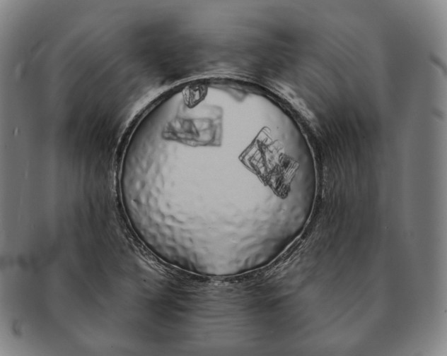 X0000091241316200708301529