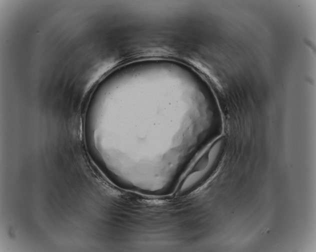 X0000091241317200708301530