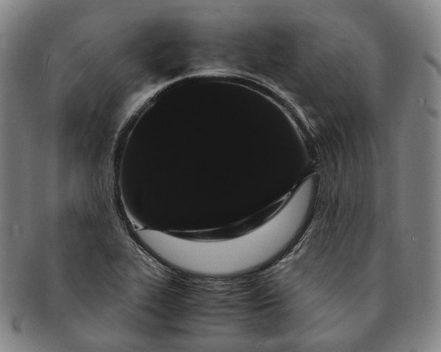 X0000091241319200708301530