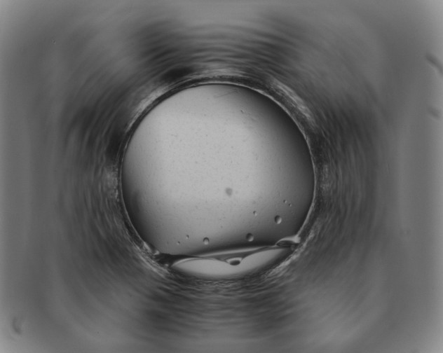 X0000091241321200708301530