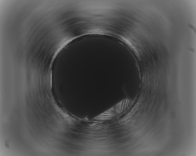 X0000091241323200708301530