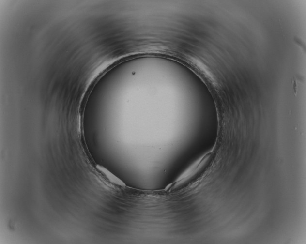 X0000091241324200708301530