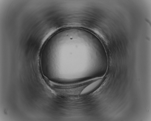 X0000091241325200708301530