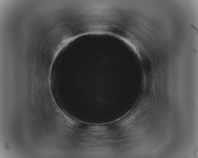 X0000091241327200708301530