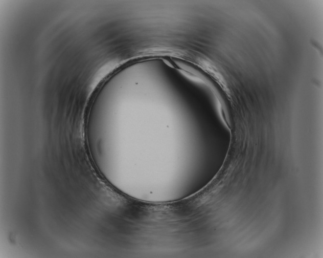 X0000091241328200708301530