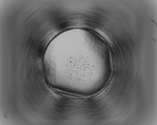 X0000091241329200708301530