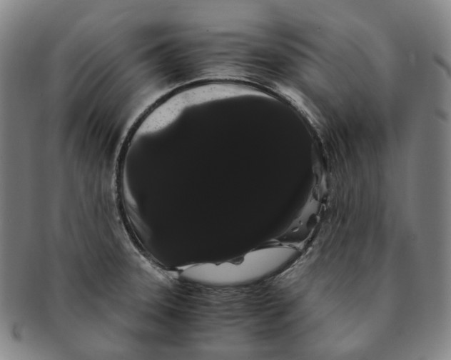 X0000091241331200708301530