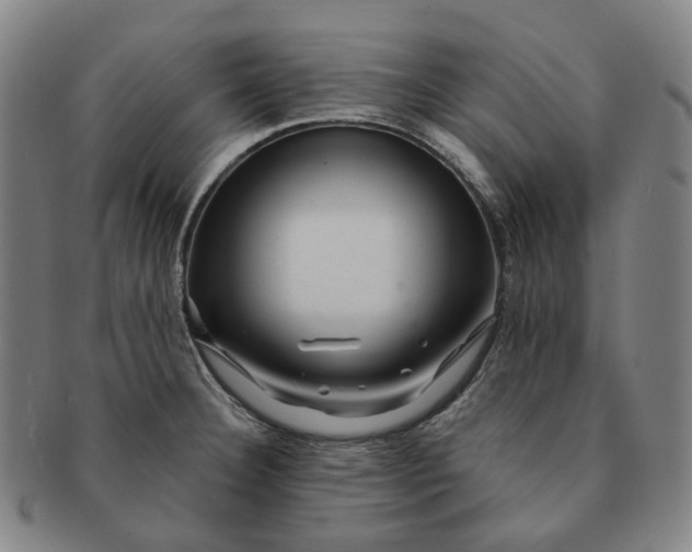 X0000091241332200708301530