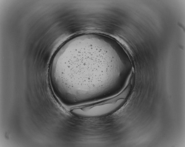 X0000091241333200708301530