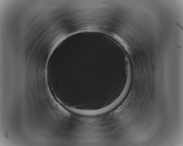 X0000091241334200708301530